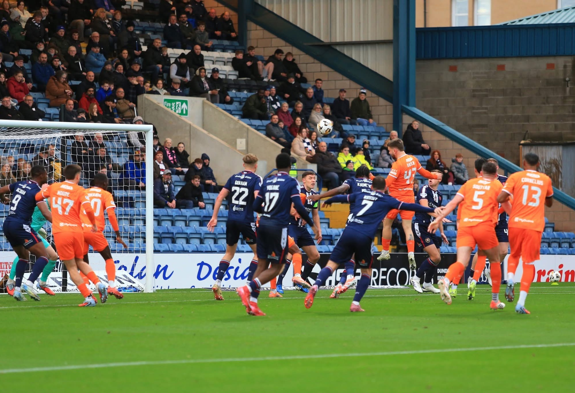 Dee4Life update – November 2025